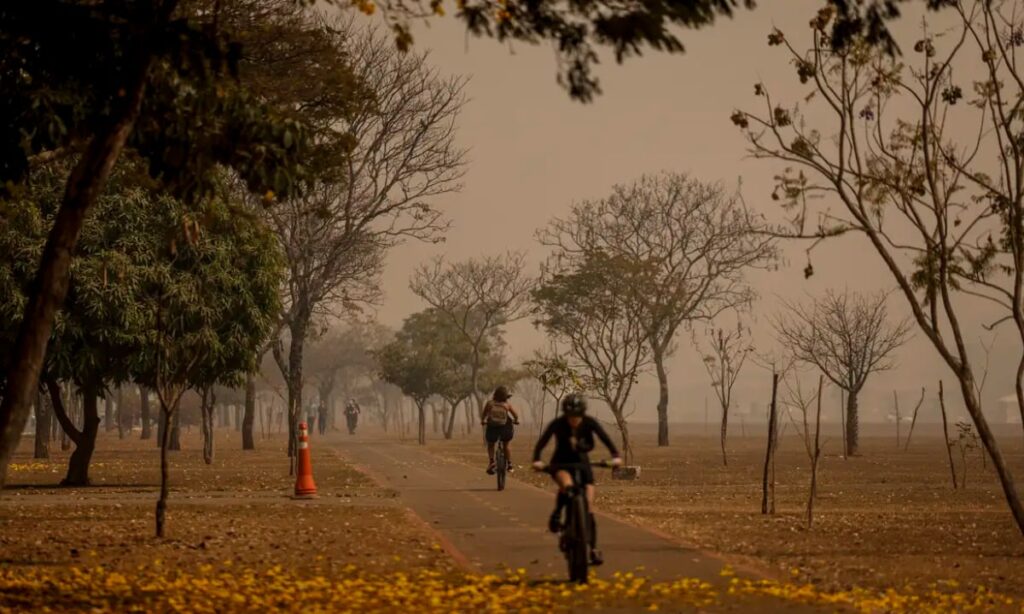 Imagem destacada do post: O inverno chegou! Saiba o que esperar da estação que não esfria em Goiás