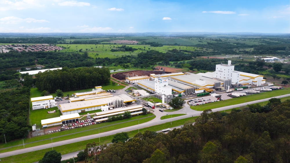 Imagem destacada do post: Ranking: Gigante da GO-020 conquista 2º lugar entre as maiores empresas de Goiás