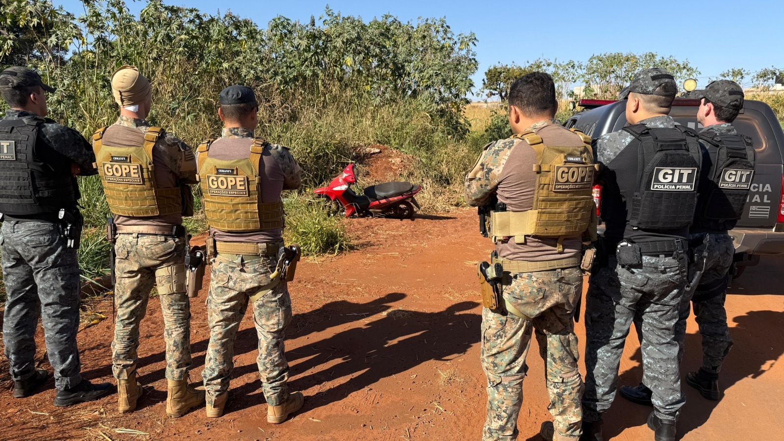 Imagem destacada do post: Goiás registra queda em todos os crimes contra o patrimônio em 2024