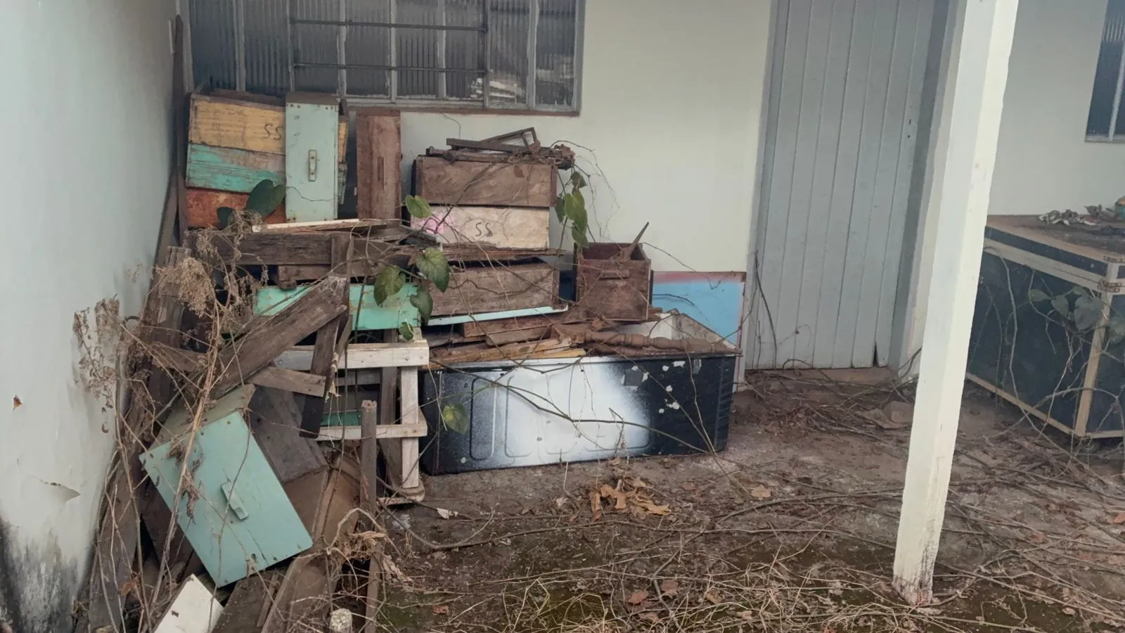 Imagem destacada do post: Homem morre, deixa casa cheia de abelhas e enxame ataca moradores de Catalão