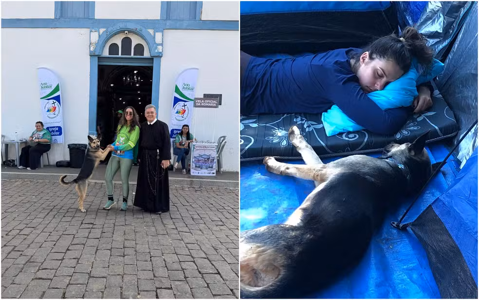 Imagem destacada do post: Mulher adota cadela que a seguiu por 150 km durante romaria até Trindade