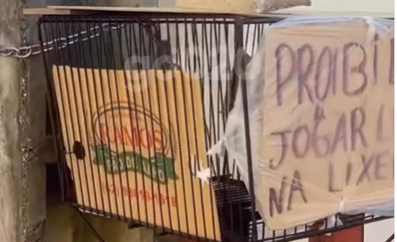 Imagem destacada do post: Em Goiânia, dona lacra lixeira com cadeado e papelão e vídeo viraliza
