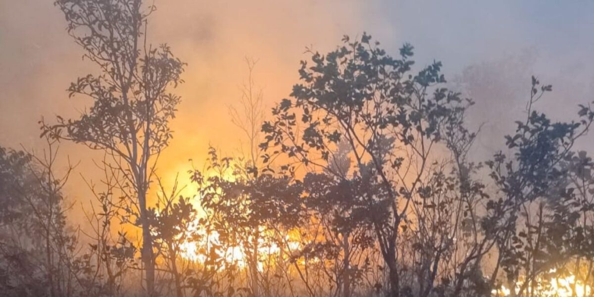 Imagem destacada do post: Queimadas em Goiás crescem 152% em apenas uma semana