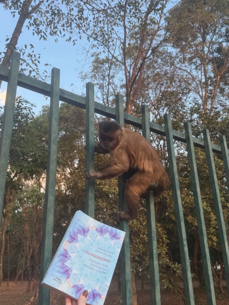 calei parque