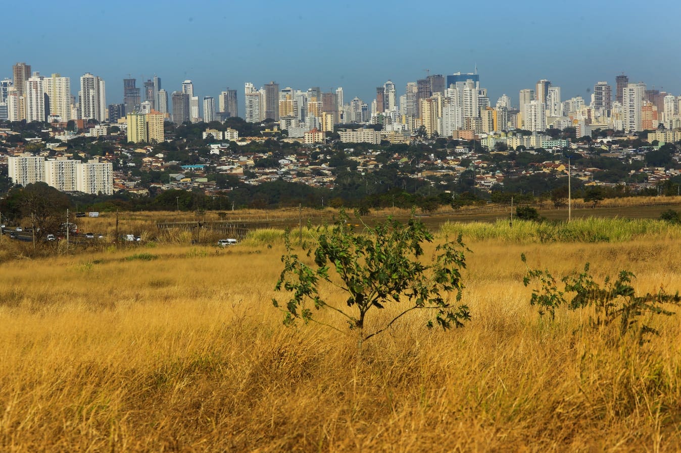 Tempo seco se intensifica e umidade do ar chega a 20% em Goiânia e região da GO-020