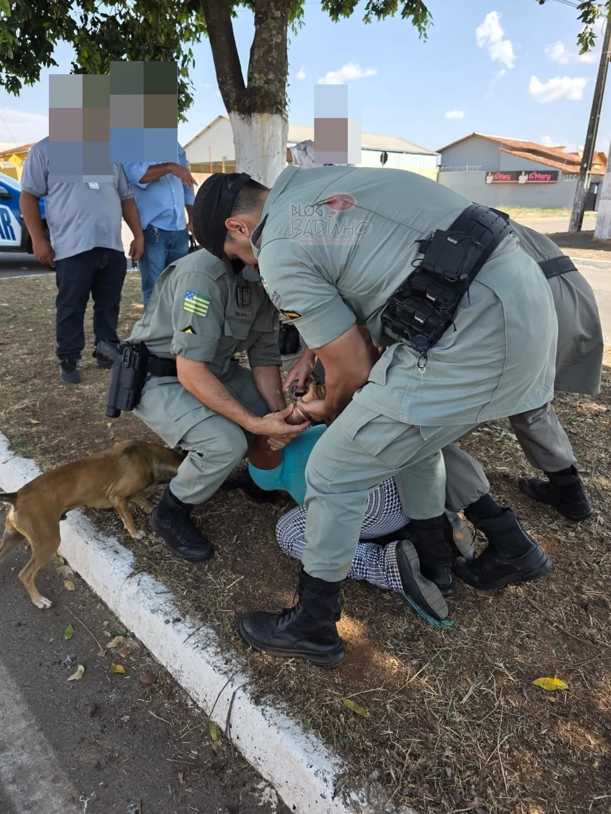 Imagem destacada do post: Cuidadora de animais faz escândalo e é presa pela polícia em Catalão [vídeo]