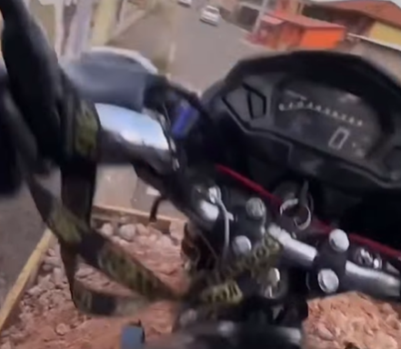 Imagem destacada do post: Homem tenta ‘voar’ caçamba em rampa e precisa de ajuda para sair; veja vídeo