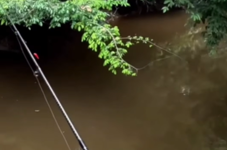 Imagem destacada do post: Pimentão vira isca fantástica pra pescar lambari e matrinxã no interior [vídeo]
