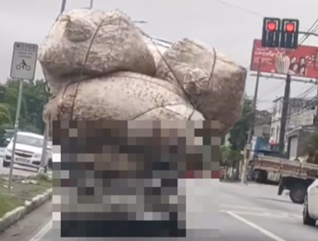 Imagem destacada do post: Carro é flagrado levando carga praticamente ‘impossível’; veja vídeo