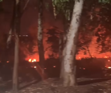 Imagem destacada do post: Incêndio criminoso atinge reserva ambiental no Parque Trindade, em Aparecida