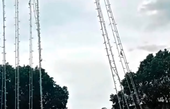 Imagem destacada do post: VÍDEO: Prefeita vai à polícia denunciar vandalismo em enfeites de natal