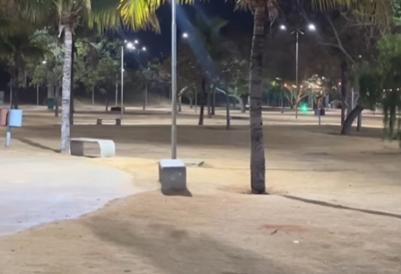Imagem destacada do post: Parque na GO-020 surge nas redes sociais e surpreende internauta: “Escondido?”