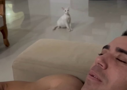 Imagem destacada do post: Tutor imita miado e gato tem reação inesperada: “ele me mordeu!” [vídeo]