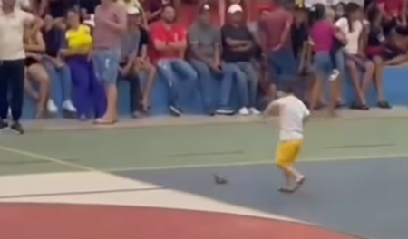 Imagem destacada do post: Menino faz cena pra capturar sapo no meio da quadra e é aplaudido