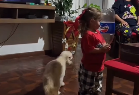 Imagem destacada do post: Criança acerta batida de música no tempo exato e encanta a internet