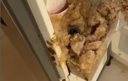 Imagem destacada do post: Refrigerante explode no congelador e geladeira vira cenário de guerra [vídeo]