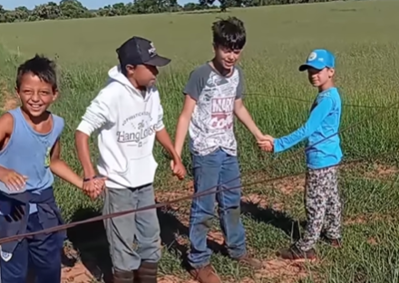 Imagem destacada do post: De mãos dadas, crianças levam choque coletivo em cerca elétrica [vídeo]