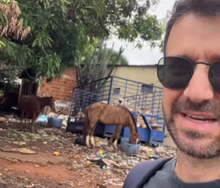 Imagem destacada do post: Homem ironiza que “Goiânia não é roça” enquanto cavalo e galinhas passeiam atrás