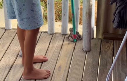 Imagem destacada do post: Criança tenta tirar sapo de casa, mas cachorro age mais rápido [vídeo]