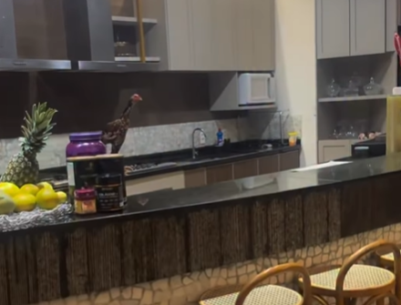 Imagem destacada do post: Galinha de Leonardo surpreende ao ligar gás do fogão sozinha [vídeo]