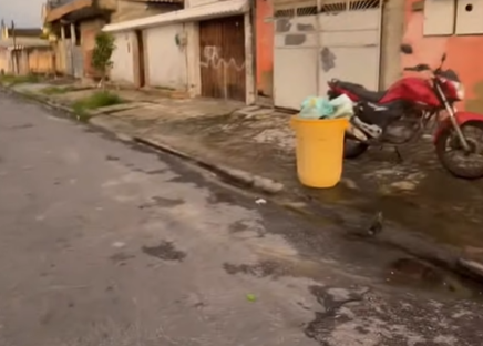 Imagem destacada do post: Rato dribla a vizinhança inteira e vira o craque da rua durante fuga; veja vídeo