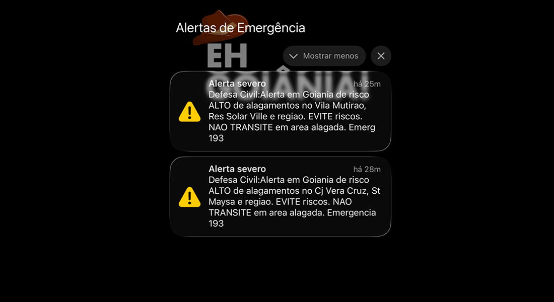 Imagem destacada do post: Defesa Civil emite mais de 10 alertas em Goiânia e preocupa população