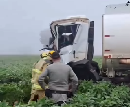 Imagem destacada do post: Neblina provoca acidente na GO-217 e caminhão-tanque invade plantação [vídeo]