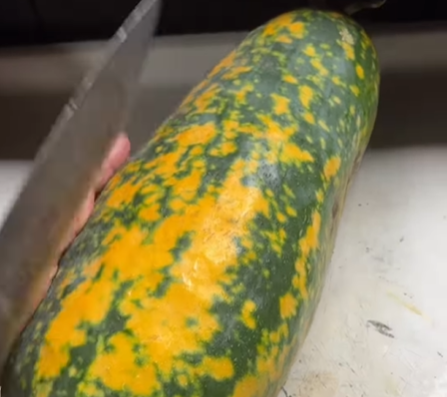 Imagem destacada do post: Mulher pensa que colheu mamão ou abóbora e descobre outra fruta