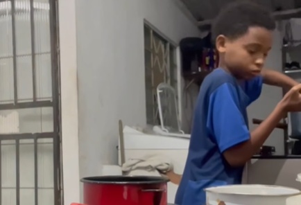 Imagem destacada do post: Barata voadora aparece na cozinha e menino entra em pânico total [vídeo]