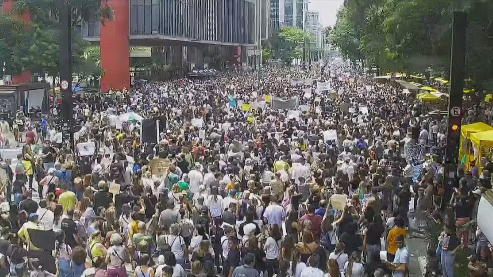 Imagem destacada do post: Centenas de pessoas pedem justiça pelo cão Orelha em manifestação na Paulista