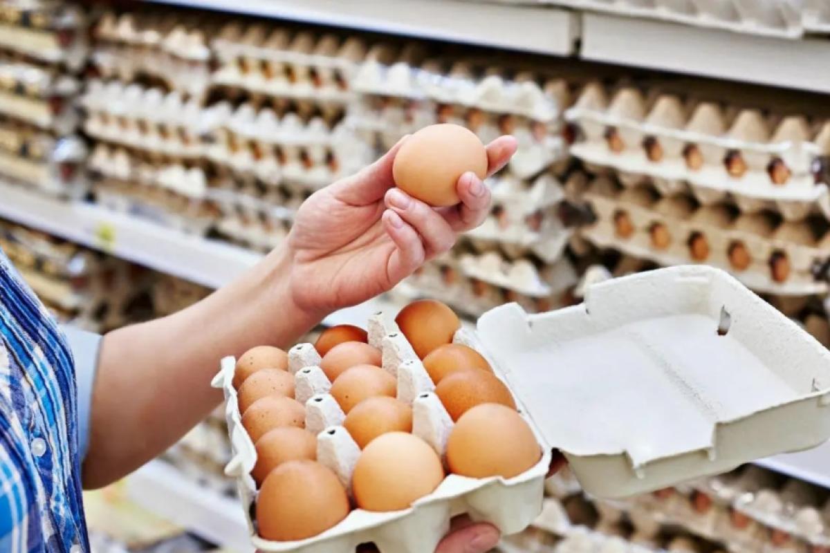 Imagem destacada do post: Preço do ovo despenca e pode ser encontrado por até R$ 0,33 centavos a unidade