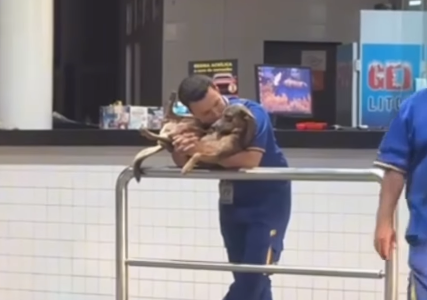 Imagem destacada do post: Funcionário de posto acolhe cachorrinha e emociona a internet; veja vídeo