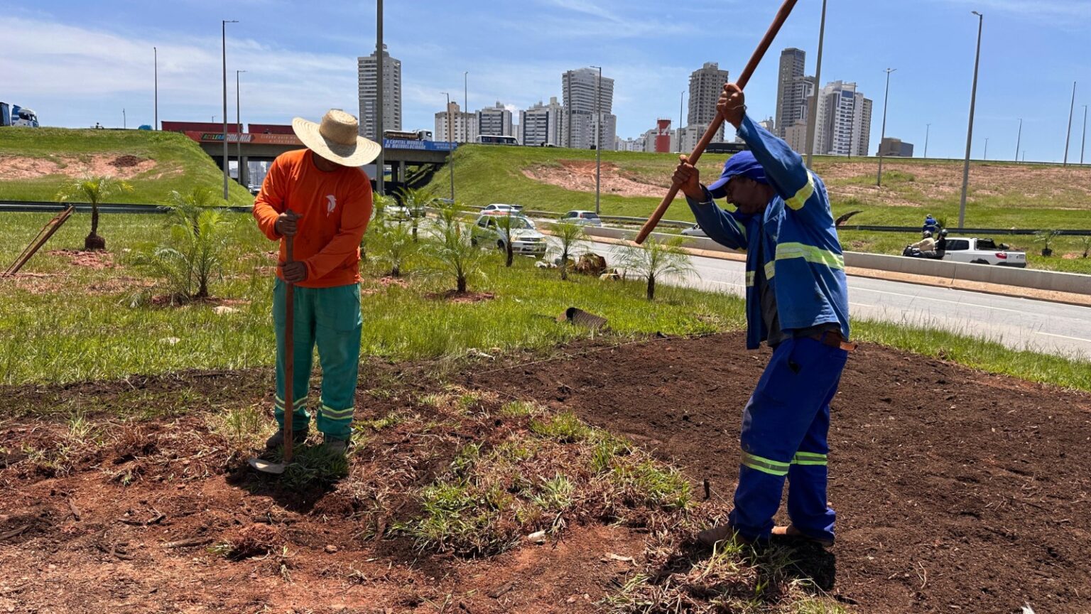 Imagem destacada do post: GO-020 com BR-153 na entrada de Goiânia recebe novo paisagismo