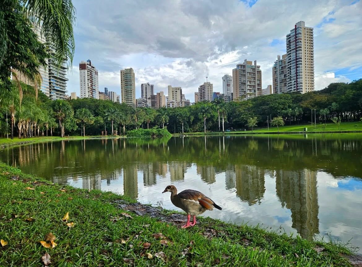 Imagem destacada do post: Outono começa e transição ao período seco será gradual