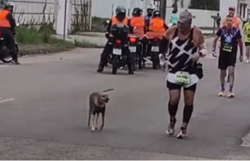 Imagem destacada do post: Cachorro ‘maratonista’ rouba a cena durante corrida de rua; veja vídeo