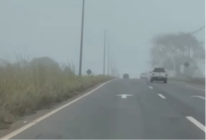 GO-020: Neblina reduz visibilidade e motoristas precisam ficar atentos