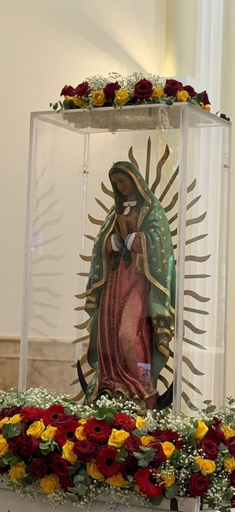 imagem guadalupe