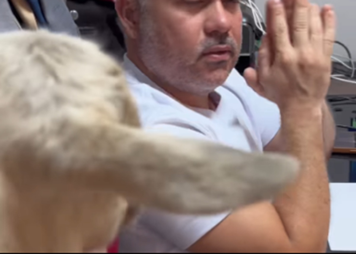 Goiânia: Mulher surpreende com presente inusitado no Dia dos Namorados [vídeo]