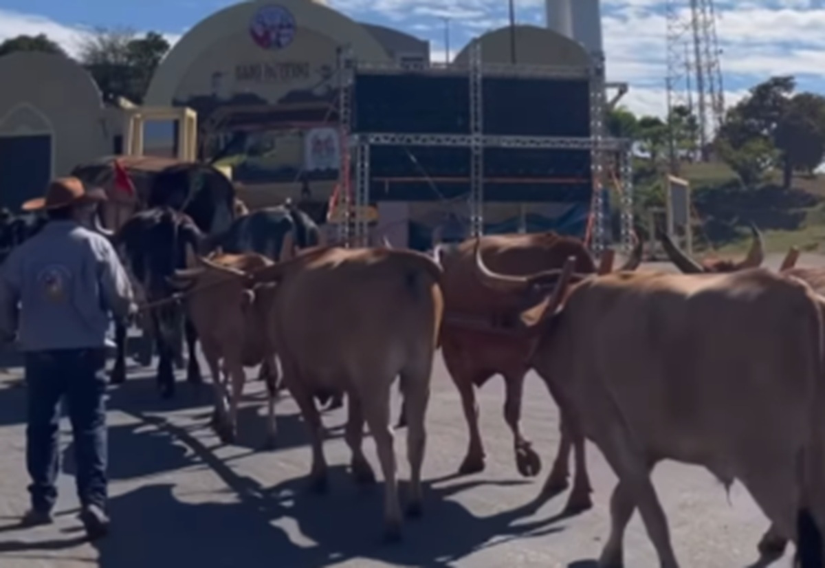 Comitivas de carreiros chegam a Trindade para Festa do Divino Pai Eterno