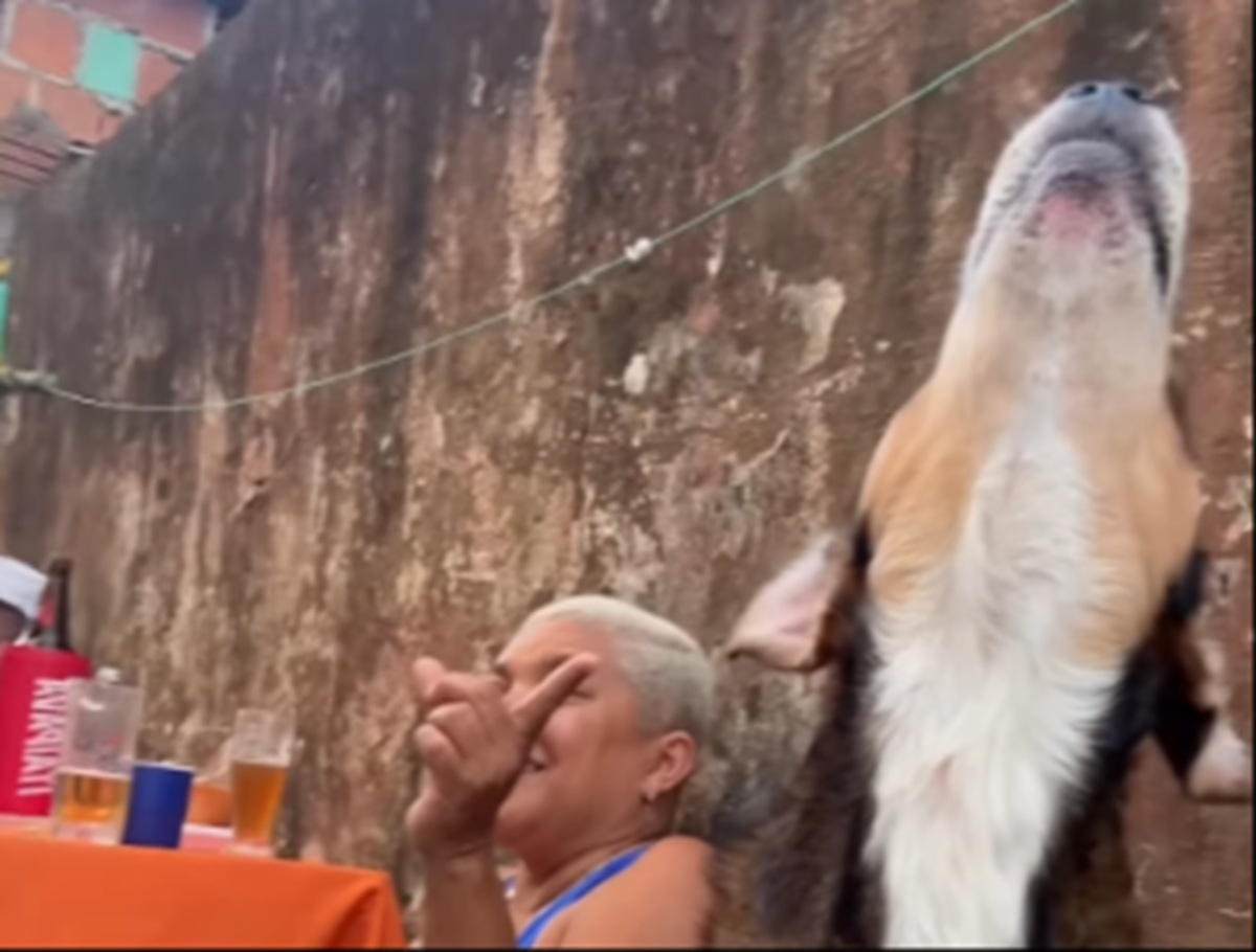 Imagem destacada do post: Cachorro viraliza soltando a voz durante música que mais gosta; veja vídeo
