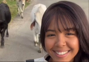 Jovem caminha cercada por vacas e brinca com situação: ‘bora, meu povo!’ [vídeo]