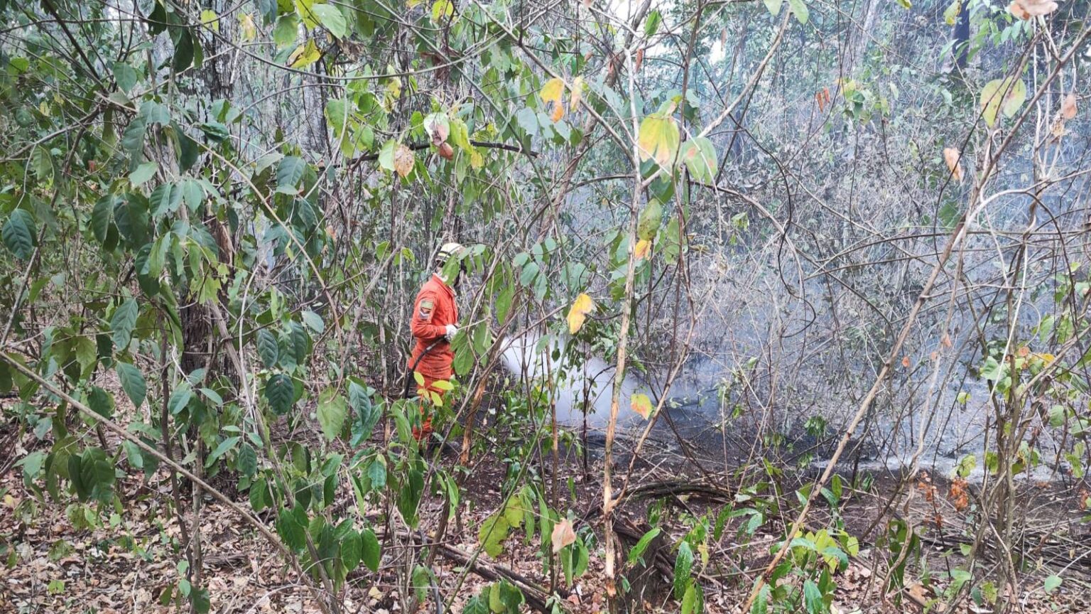 Incêndio atinge fazenda próximo ao Parque Estadual da Serra de Caldas Novas