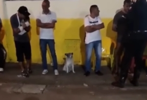 Caramelo rouba a cena durante abordagem policial: ‘nem olha pro lado’ [vídeo]