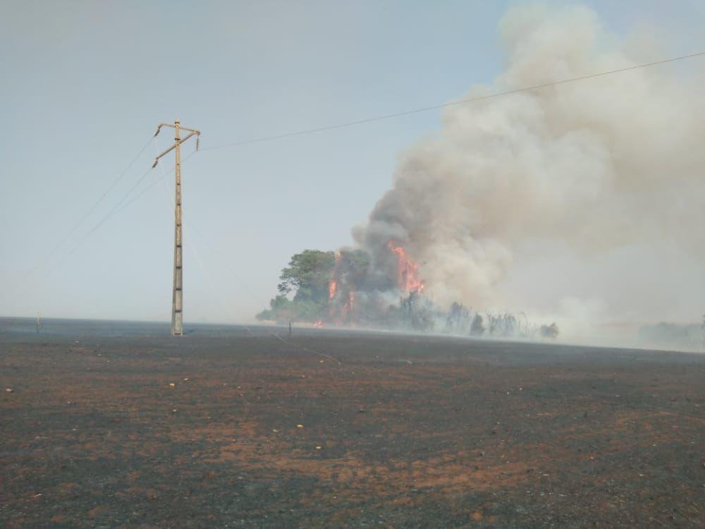 Calor extremo acende alerta para incêndios em Goiás; uso do fogo está suspenso em território goiano 1 Queimadas na rede eletrica Equatorial Goias