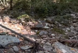 Mulher se surpreende ao encontrar cachoeira ‘seca’ em Pirenópolis; entenda [vídeo]