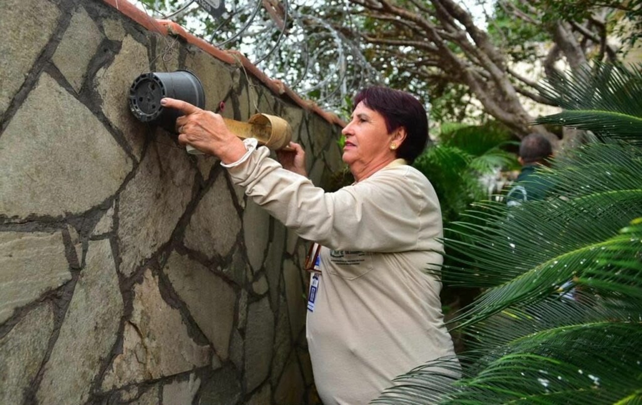 Goiânia reforça ação de combate ao mosquito transmissor da dengue