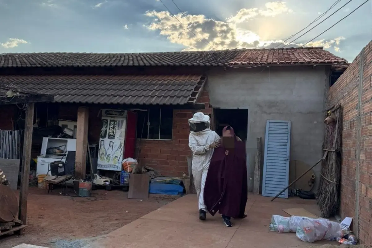 Mais de 40 pessoas são atacadas por abelhas em unidade da APAE em Piracanjuba