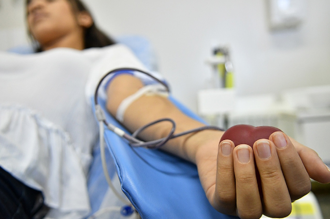 Pessoas com mais de 70 anos poderão doar sangue; veja novas regras
