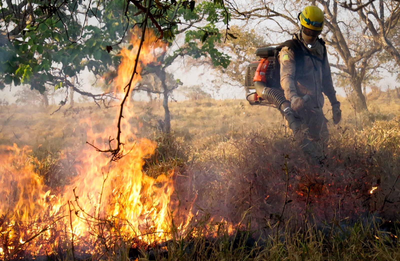 Calor extremo acende alerta para incêndios em Goiás; uso do fogo está suspenso em território goiano