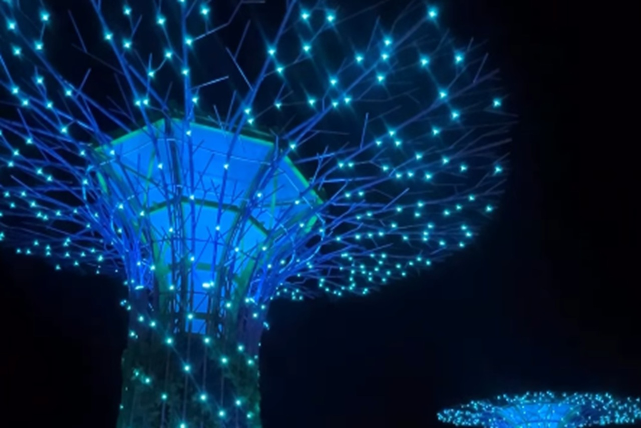 Singapura Shopping inaugura ‘Parque das Árvores Iluminado’, em Caldas novas; veja vídeos